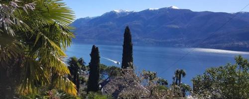 Residence Venus Garden, Brissago